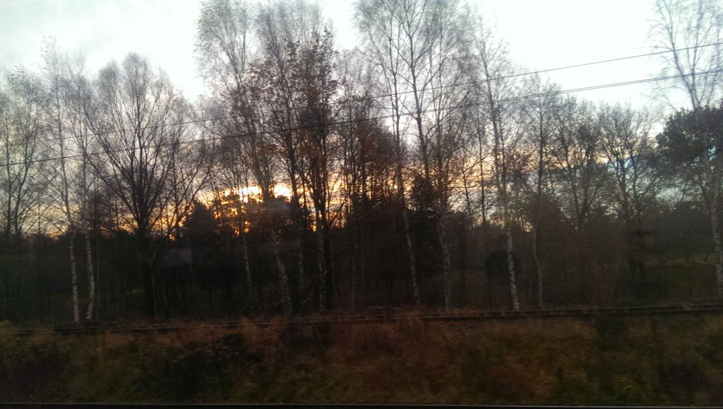 widok z okna pociągu
