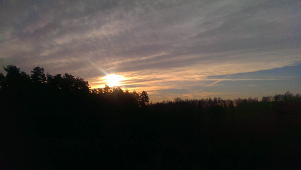 widok z okna pociągu