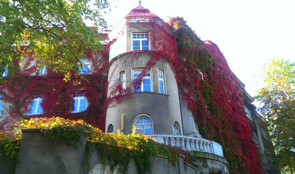 Budynek w jesiennej szacie