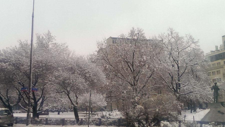 Warszawa w śniegu