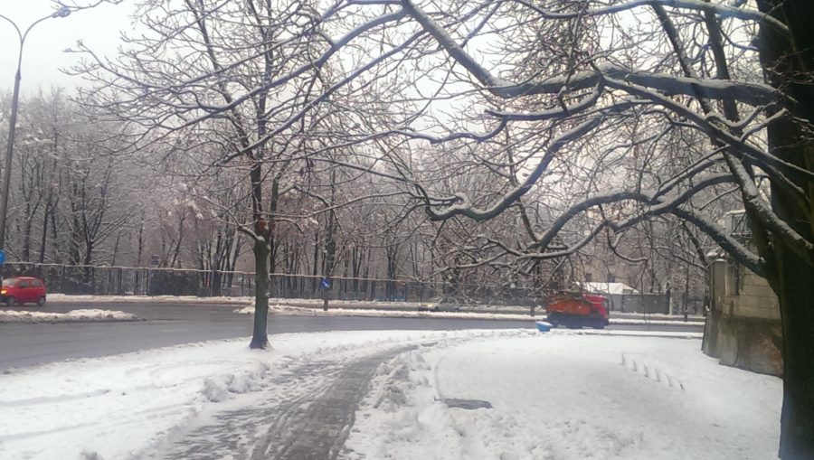 Warszawa w śniegu