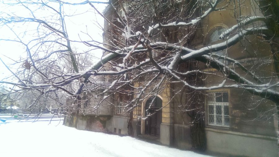 Warszawa w śniegu